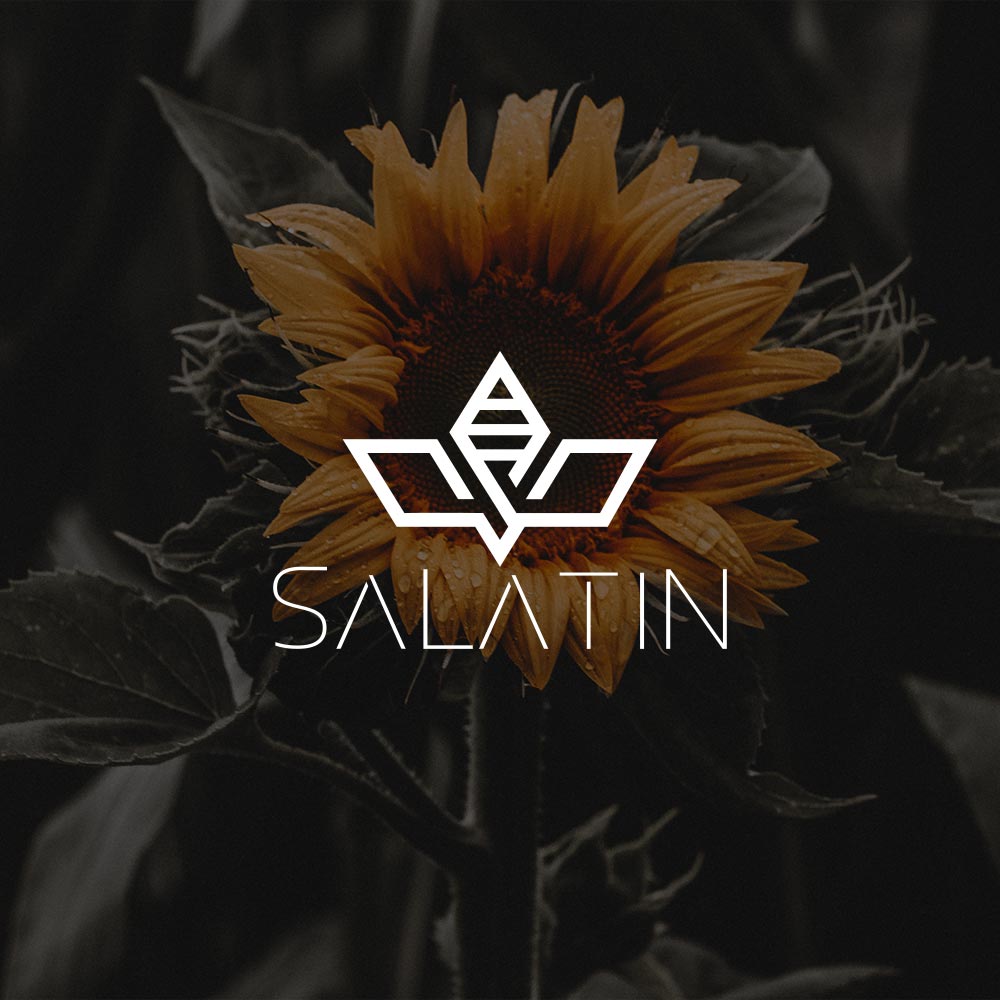 طراحی هویت بصری برند سلاطین